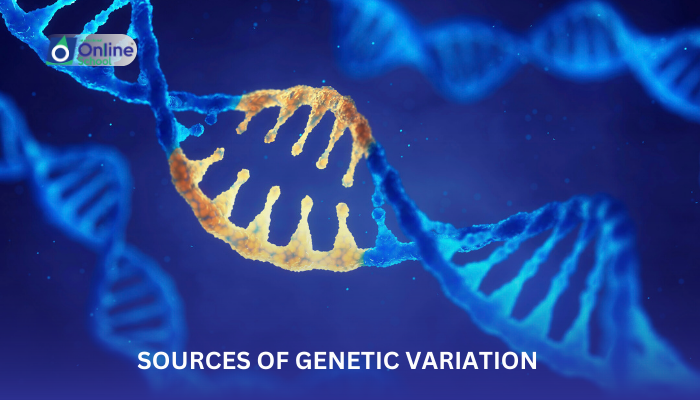Lesson 10: Sources of Genetic Variation